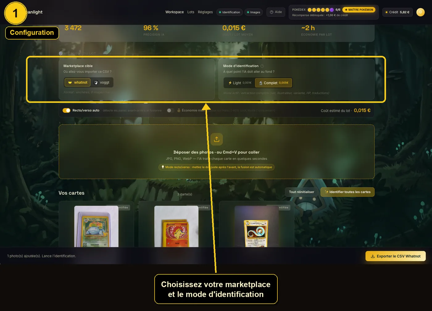 Choix de la plateforme et du niveau d'analyse